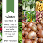 WINTER Seed Pack - A