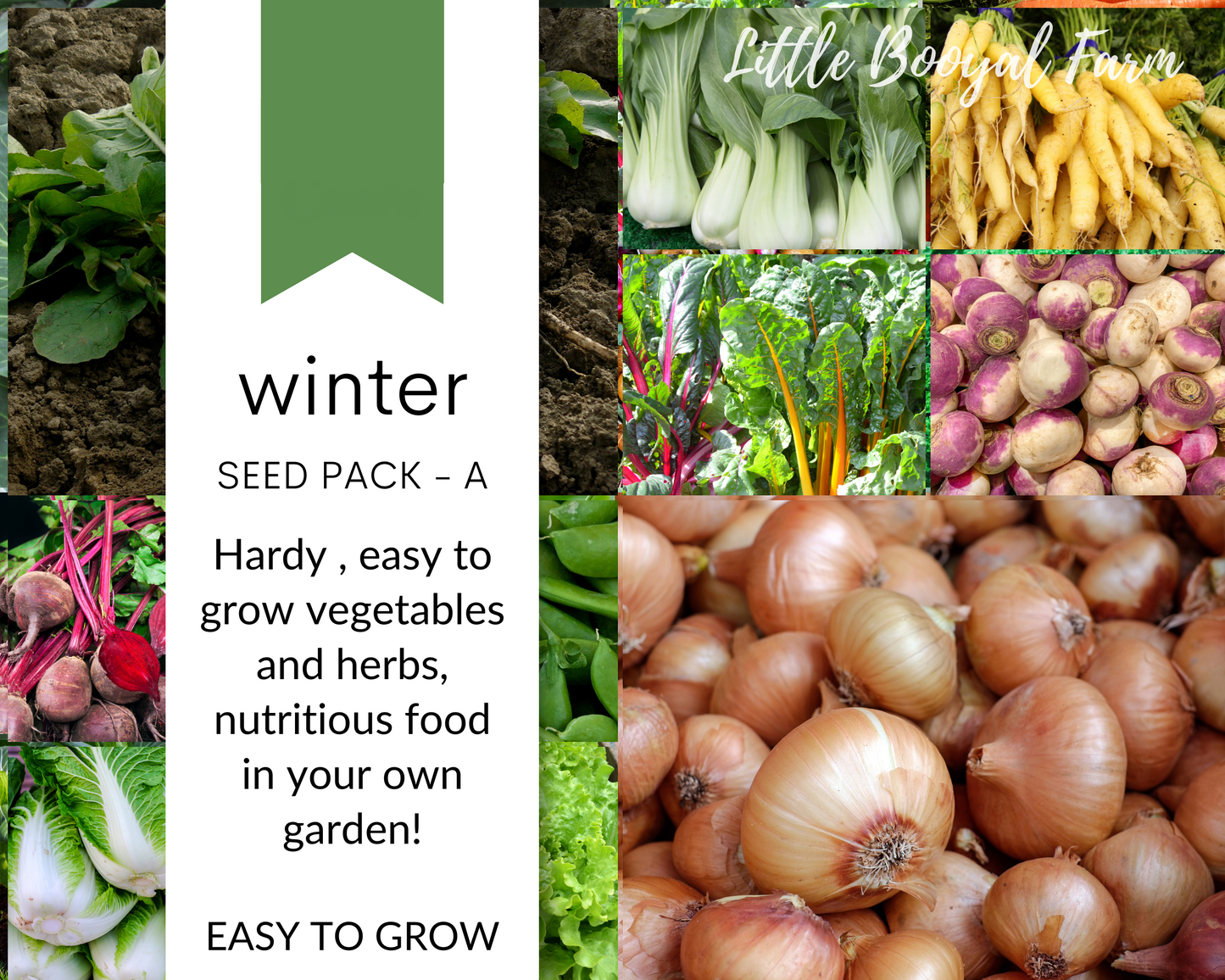 WINTER Seed Pack - A