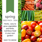 SPRING Seed Pack - 2024