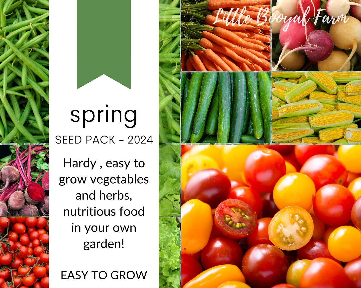 SPRING Seed Pack - 2024