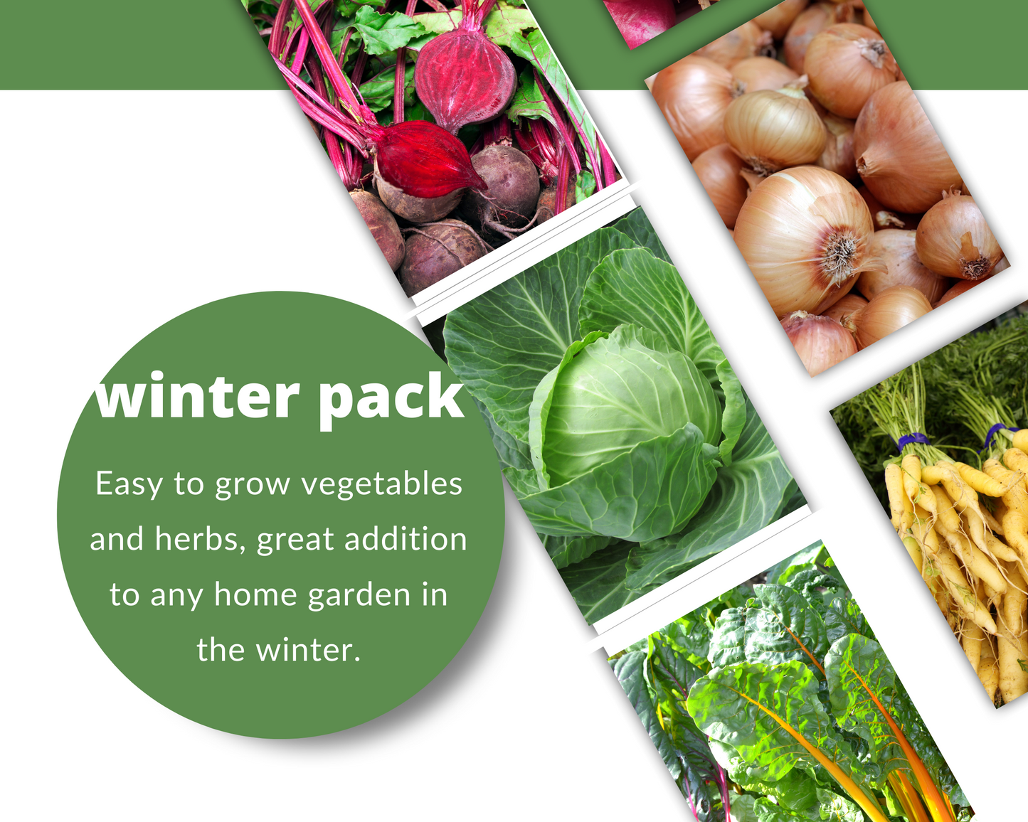 WINTER Seed Pack - A