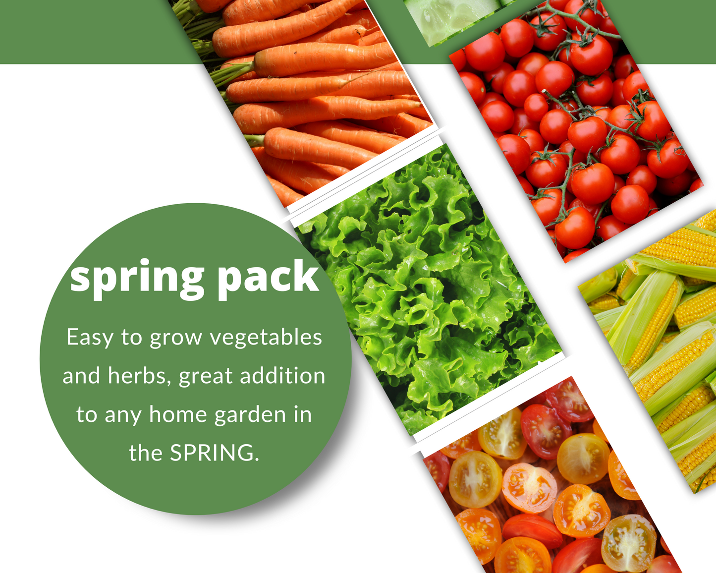 SPRING Seed Pack - 2024