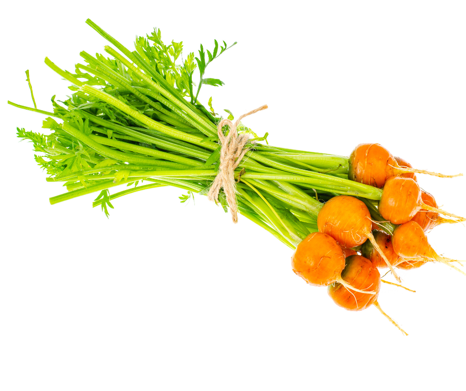 CARROT - Paris Market Seeds