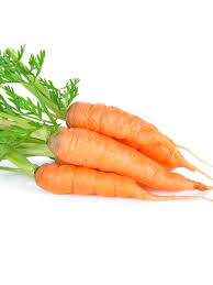 CARROT - Baby Amsterdam Seeds