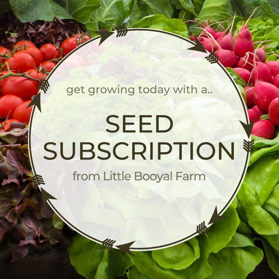 Monthly Seed Saver Subscription | Little Booyal Farm