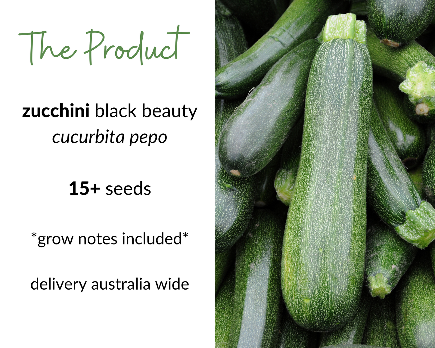 ZUCCHINI Black Beauty Seeds