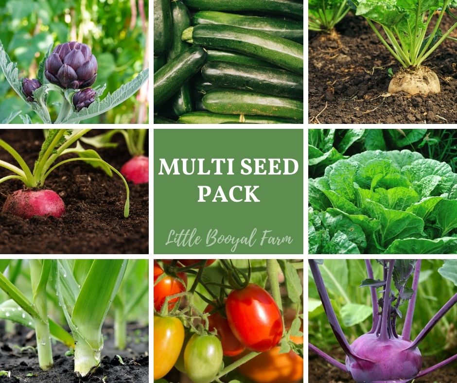 Monthly Seed Saver Subscription