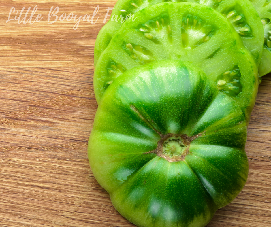 TOMATO Aunt Ruby Green Seeds