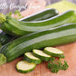 ZUCCHINI Black Beauty Seeds