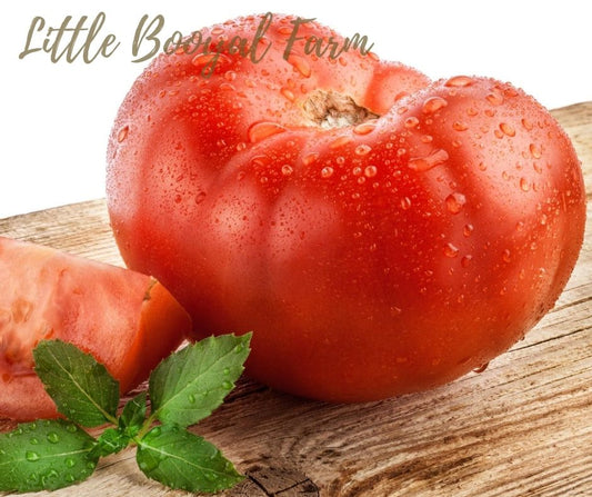 TOMATO Mortgage Lifter Seeds